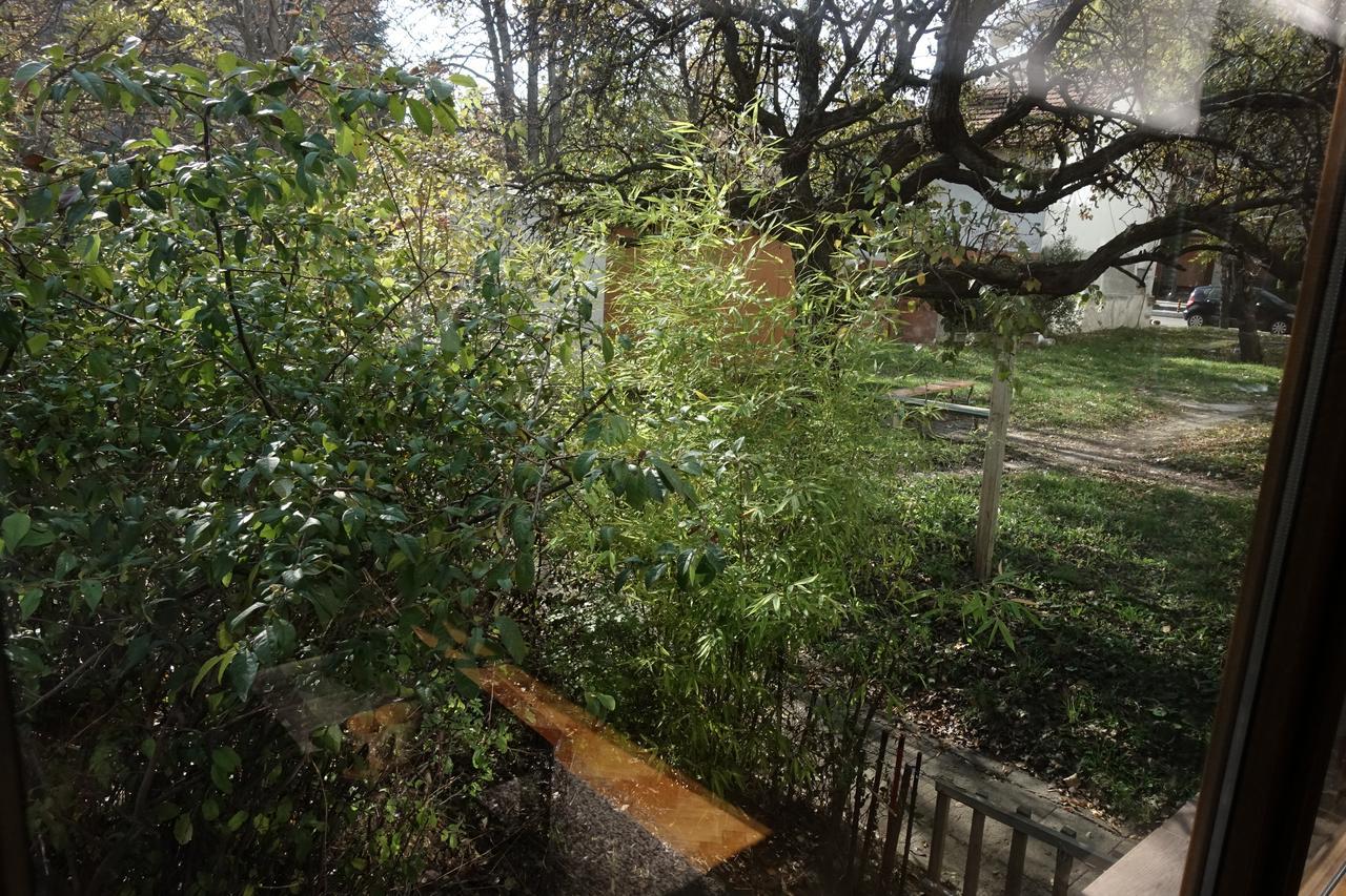 Wendy House Daire Sofya Dış mekan fotoğraf