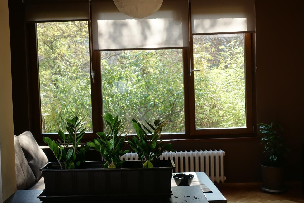 Wendy House Daire Sofya Dış mekan fotoğraf