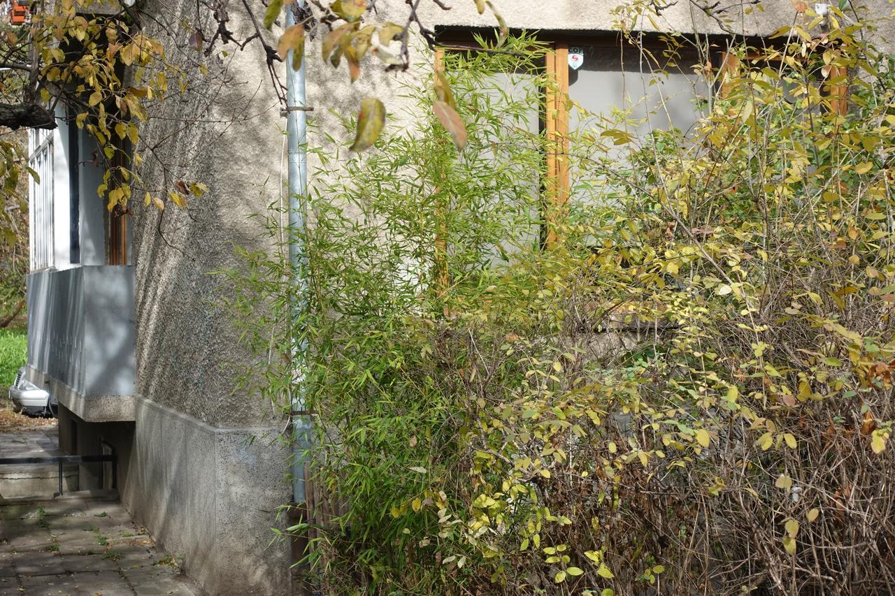 Wendy House Daire Sofya Dış mekan fotoğraf